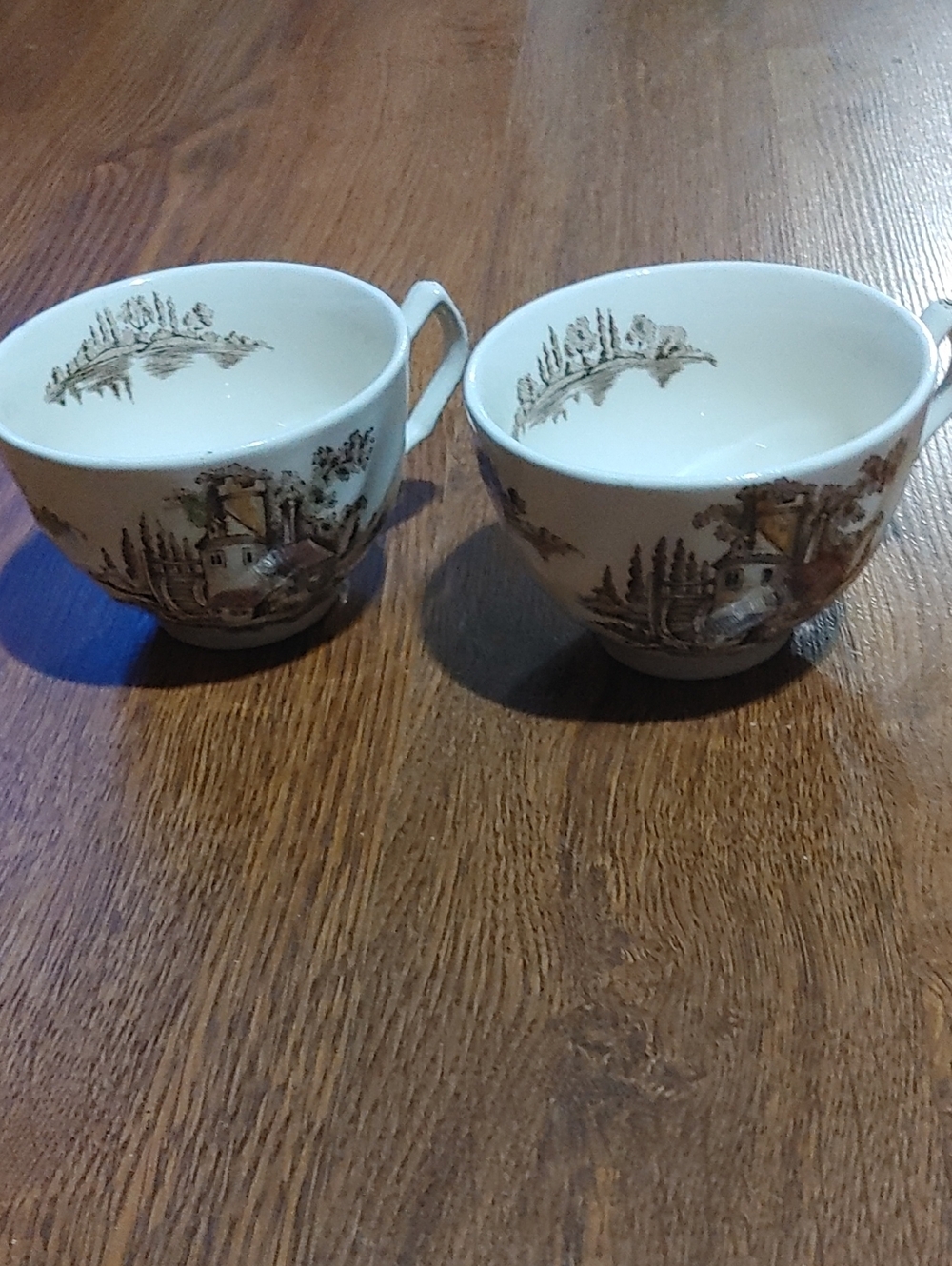 Made In England Teacup Set with Brown Scenic Motif